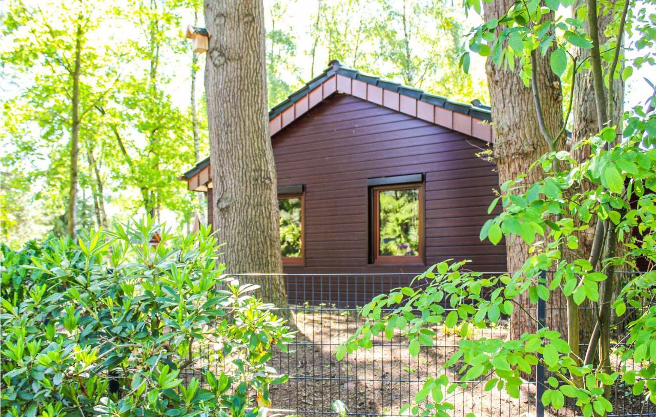 Pet Friendly Home In Haren With Sauna Dankern Esterno foto