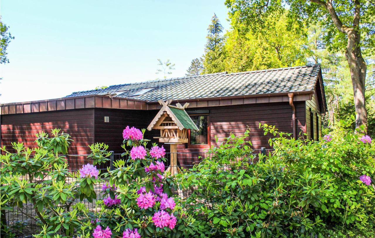 Pet Friendly Home In Haren With Sauna Dankern Esterno foto