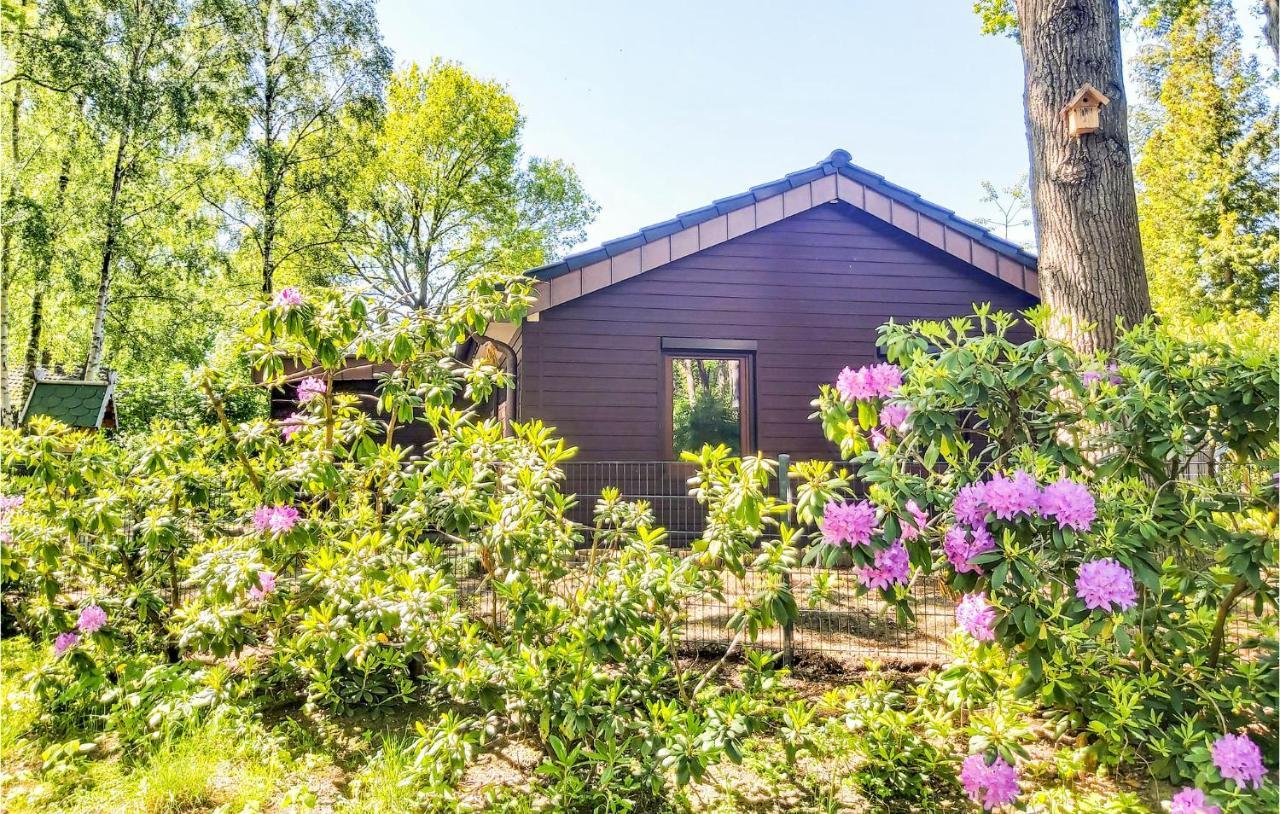 Pet Friendly Home In Haren With Sauna Dankern Esterno foto